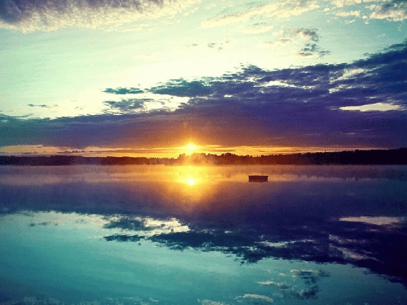 试管会怀孕吗（试管内壁在哪里）